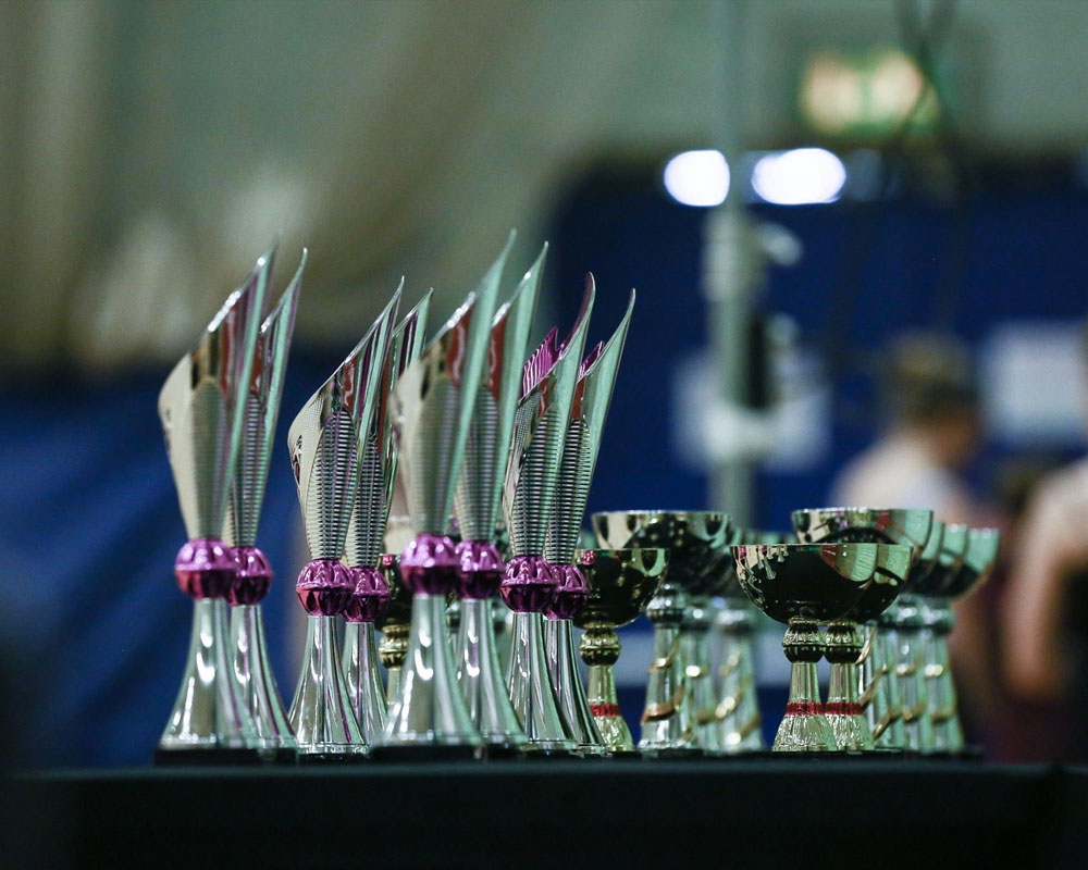 Southern Dance Class Awards Trophies